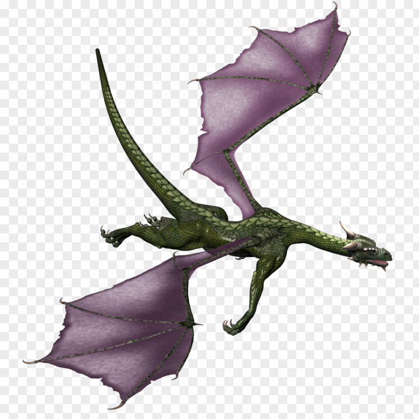 Dragon Game Google Images PNG