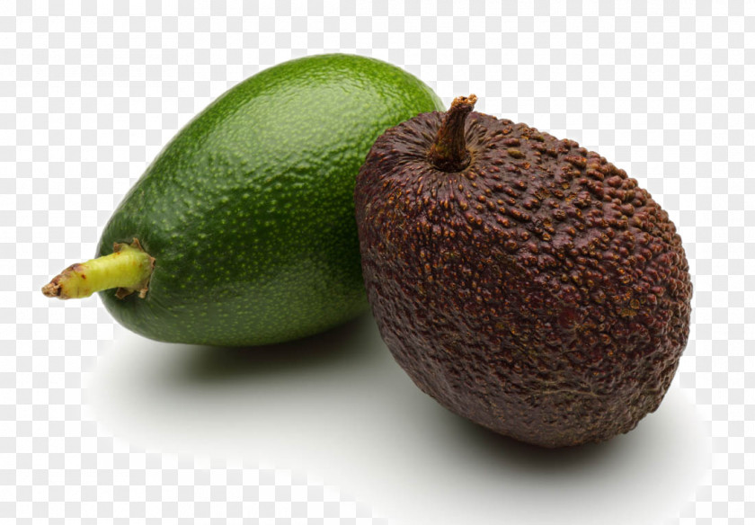 Fresh Avocado Fruit Salad Kiwifruit PNG