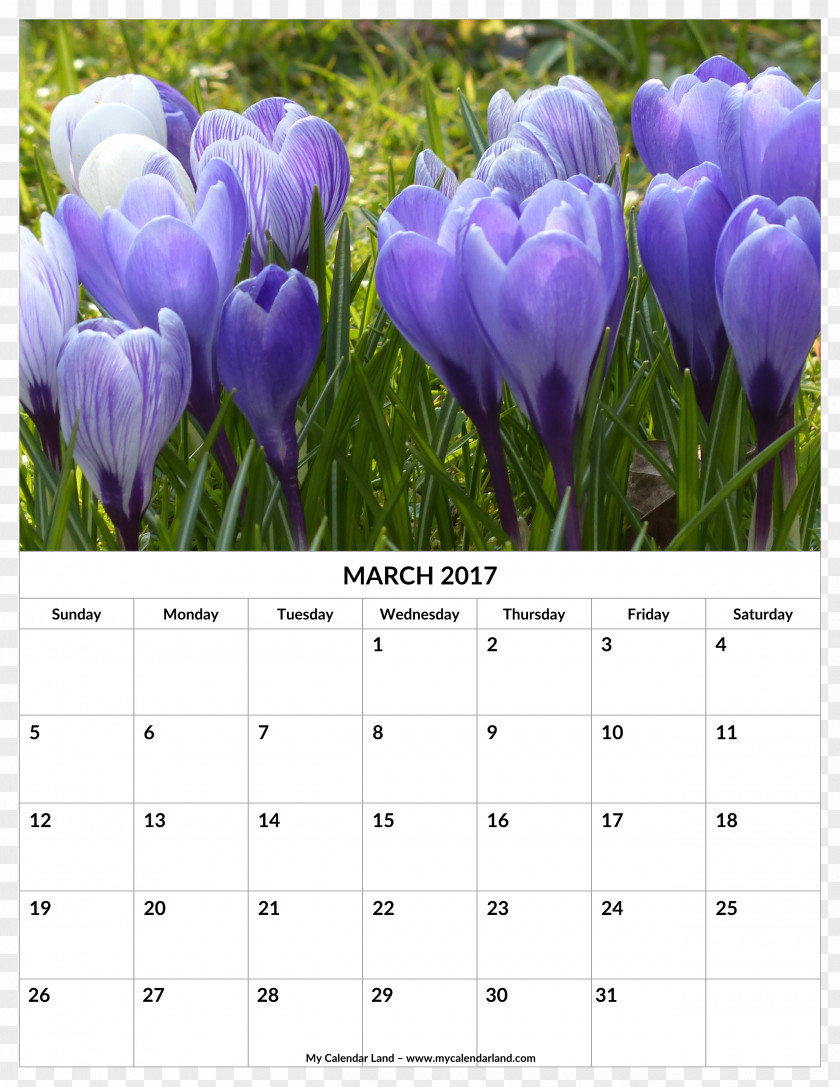 March Bank Holiday Calendar Mindsoother Therapy Center 0 2018 Audi A4 Crocus Flavus PNG