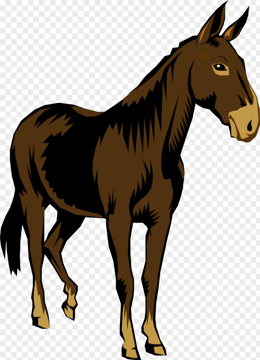 Mule Cliparts Donkey Free Content Clip Art PNG