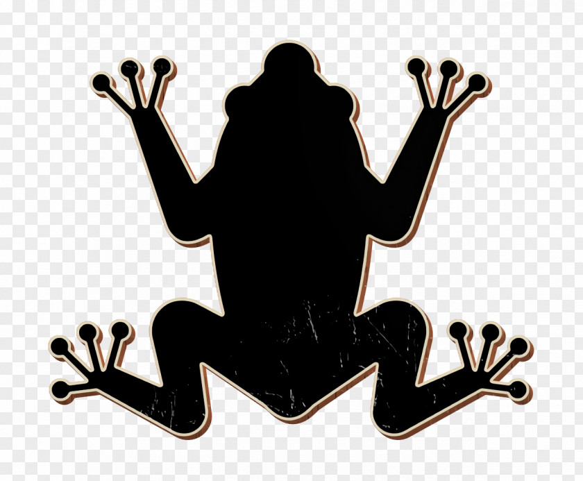 Tropical Frop Icon Animals Amphibian PNG