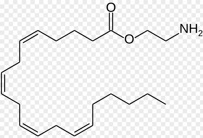 Eicosanoid Fatty Acid Monoglyceride Amino Arachidonic PNG