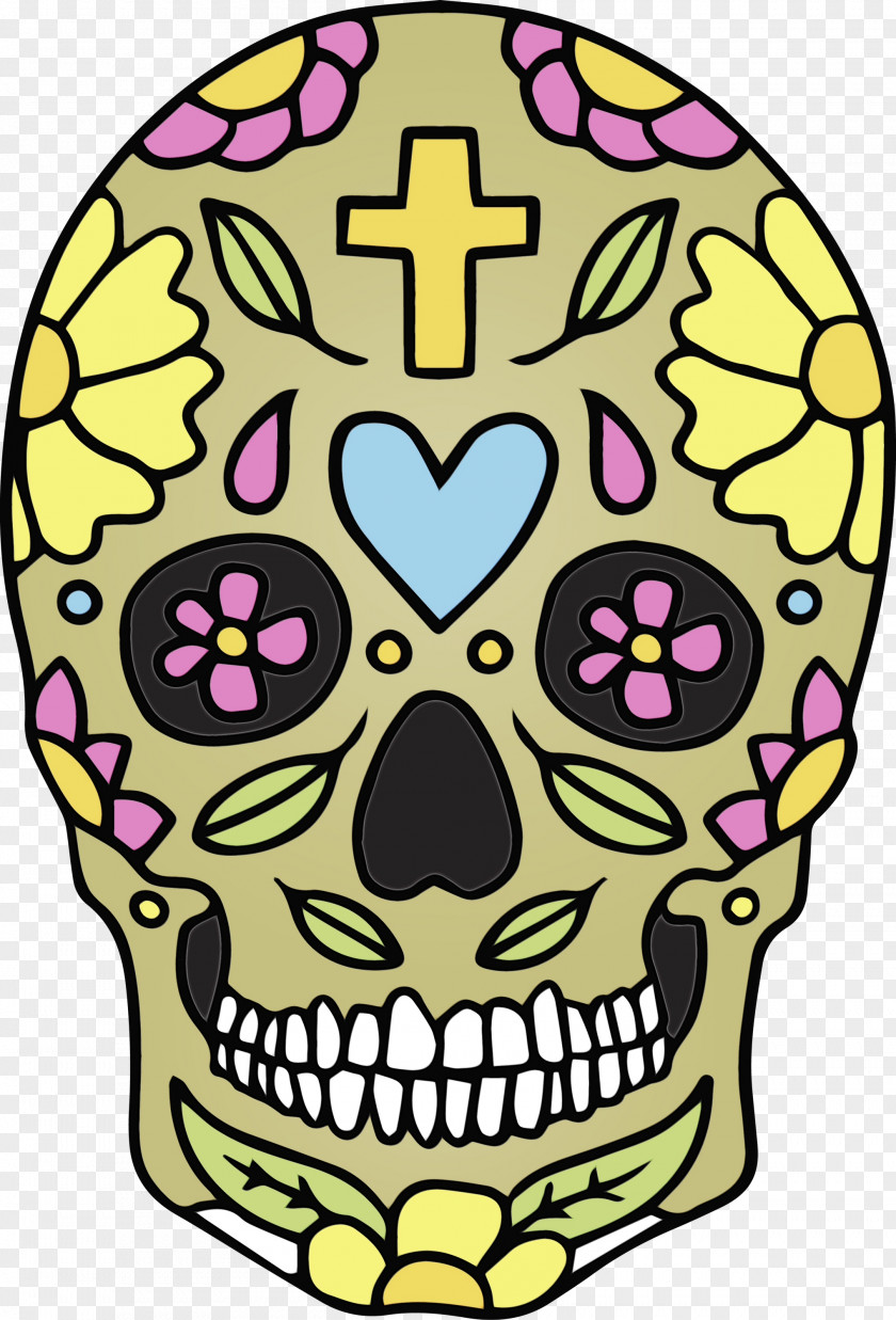 Floral Design PNG