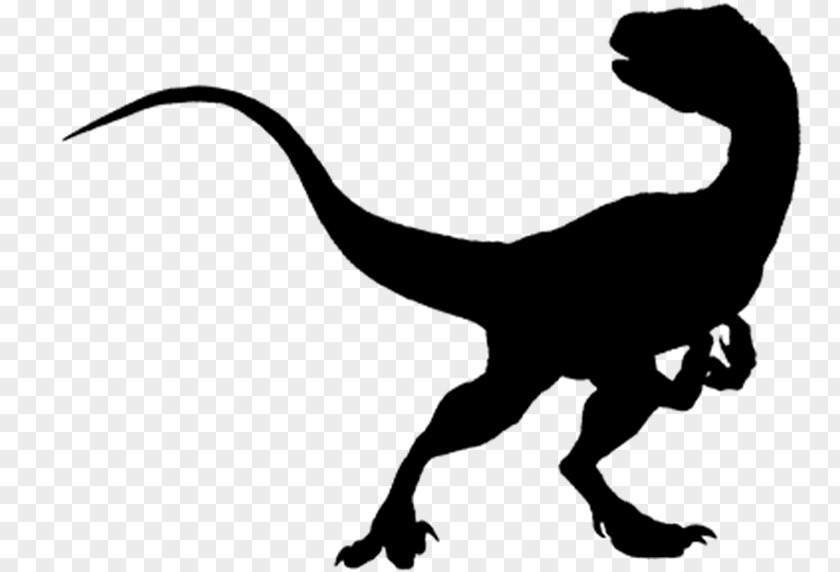 Jurassic Park Velociraptor Dinosaur Tyrannosaurus Amino: Communities And Chats PNG
