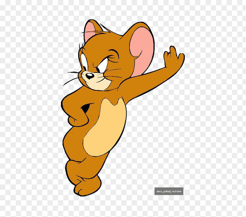 Tom And Jerry Mouse Cat IPhone X Wallpaper PNG