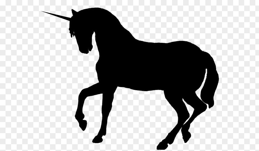 Unicorn Silhouette Getdrawings Horse Vector Graphics Clip Art PNG