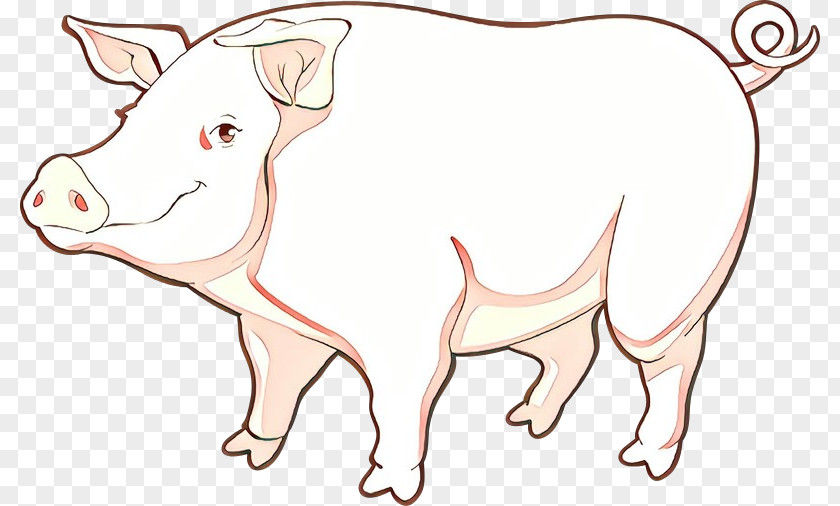 Animal Figure Bovine Domestic Pig Line Art Suidae Snout Cartoon PNG