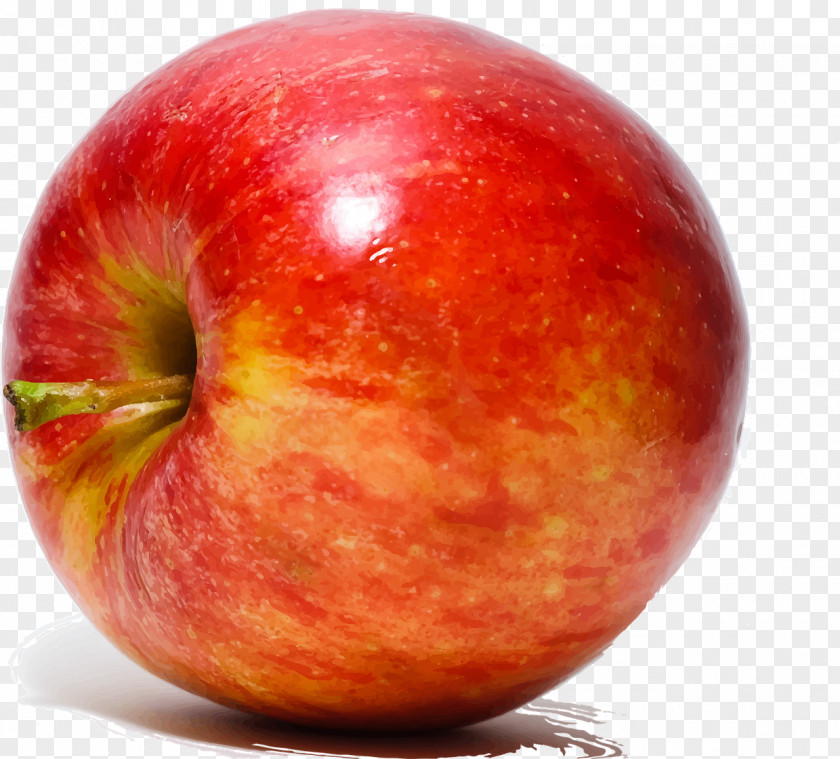 Apple Crisp Fruit Tutti Frutti Vegetable PNG