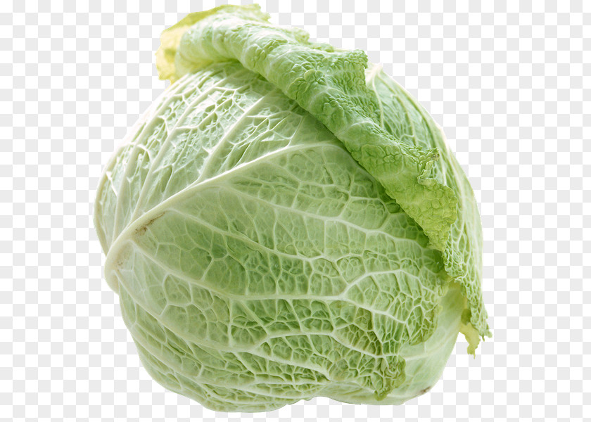 Cabbage Cruciferous Vegetables Food PNG