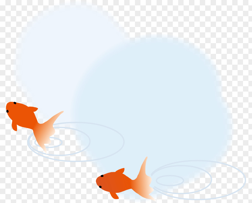 Dog Canidae Goldfish Marine Mammal PNG