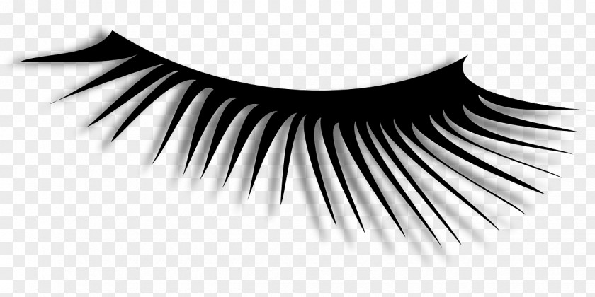 Eyelash Extensions Clip Art PNG