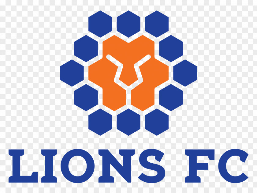 Football Queensland Lions FC 2018 FFA Cup National Premier Leagues Heidelberg United PNG