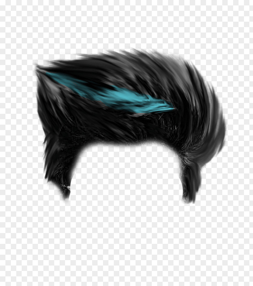 Hair Black Hairstyle Desktop Wallpaper PNG