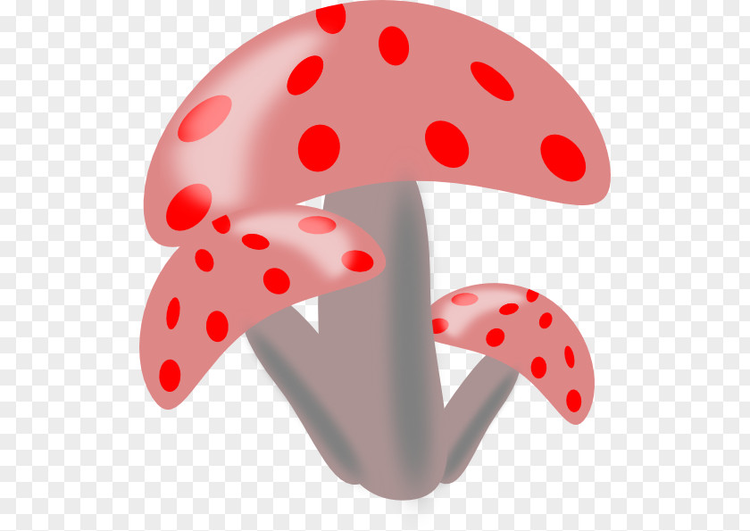 Mushrooms Mushroom Drawing Clip Art PNG