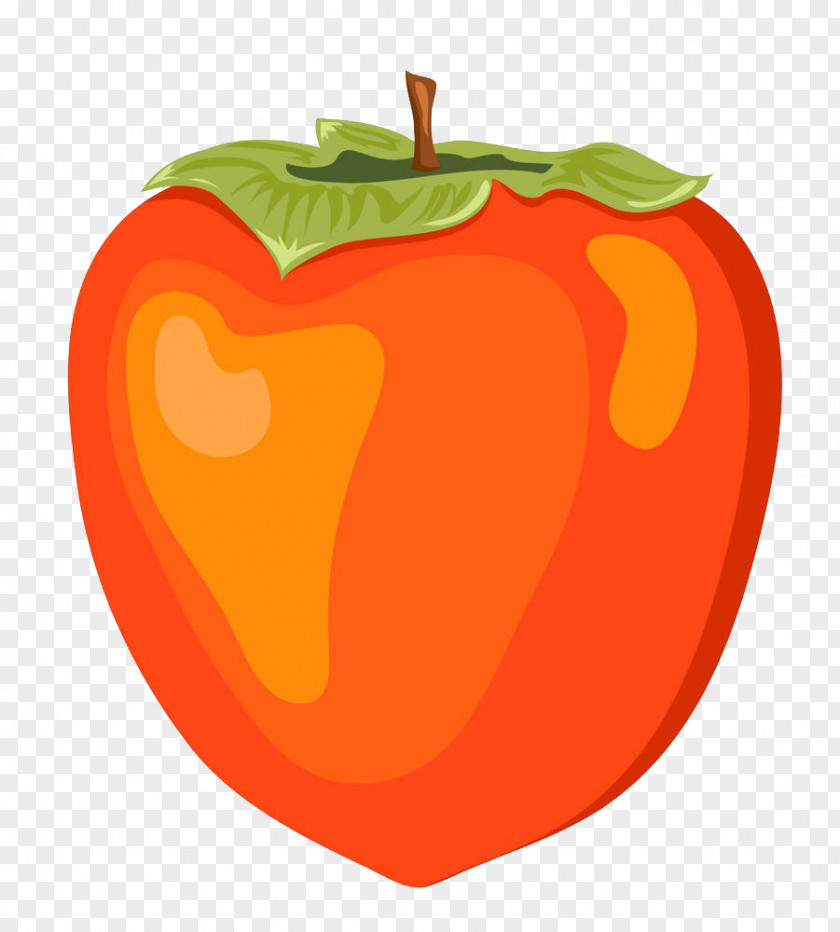 Persimmon Illustrator Drawing Clip Art PNG