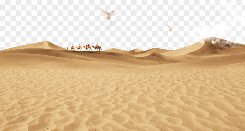 Sandy Beach Sahara Erg Sand PNG