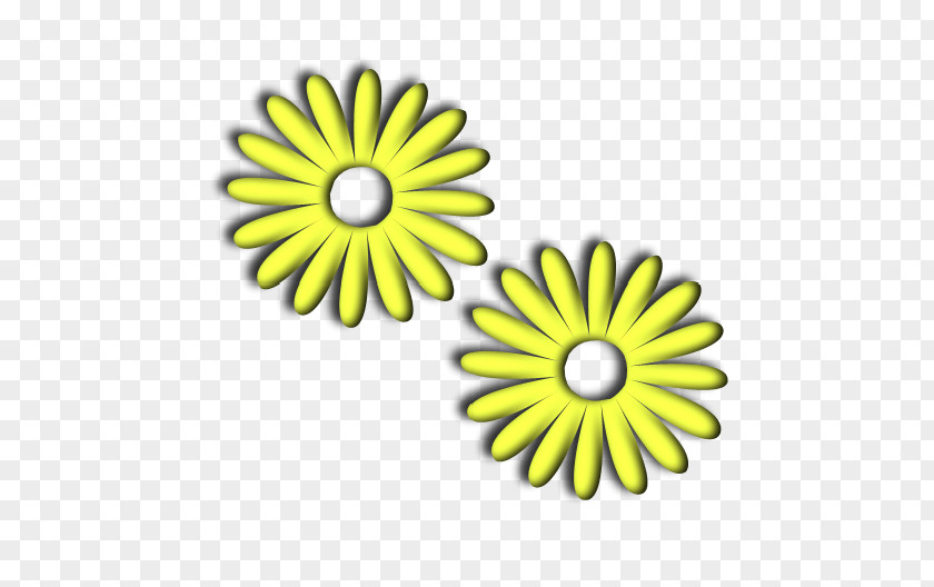 Yellow Flowers Common Sunflower Daisy Family Chrysanthemum Oxeye PNG