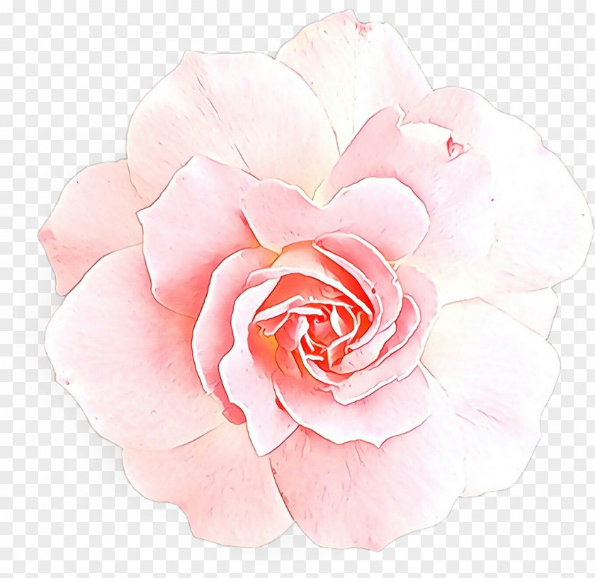 Artificial Flower Perennial Plant Watercolor Pink Flowers PNG
