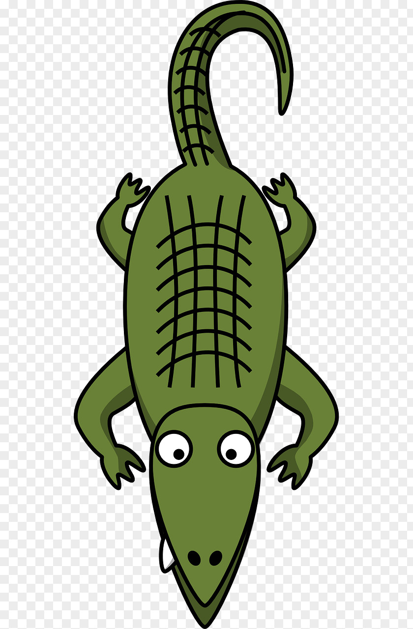 Green Crocodile Alligator Cartoon Clip Art PNG