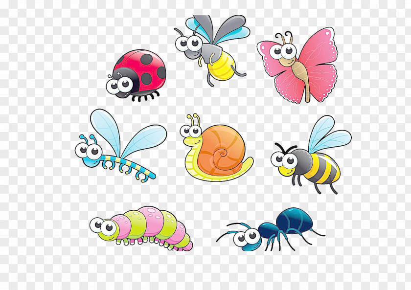 Insect Series Beetle Cartoon Drawing Clip Art PNG