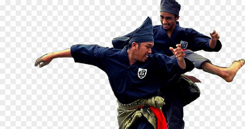Mixed Martial Arts Silat Melayu Seni Gayong Self-defense PNG