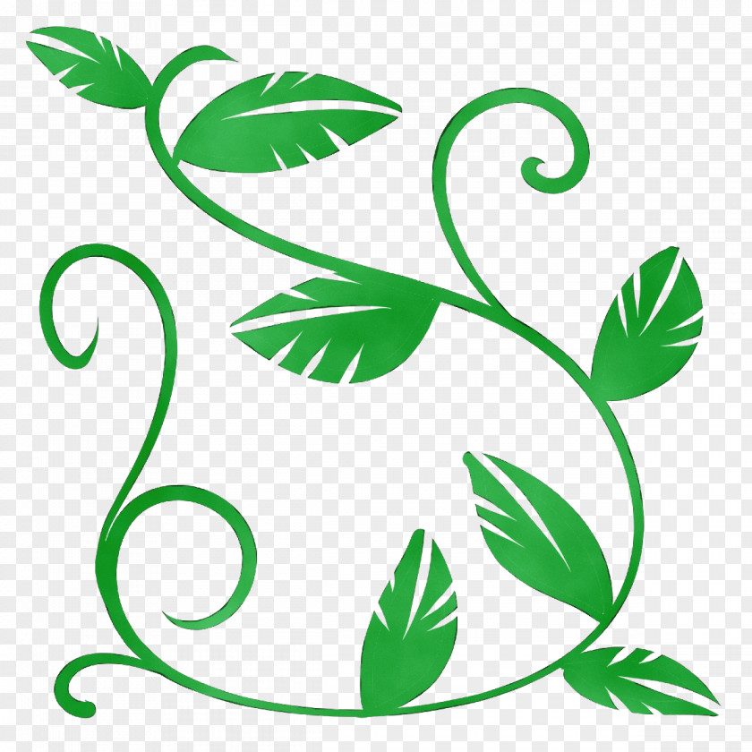 Plant Stem Leaf Line Art Green PNG