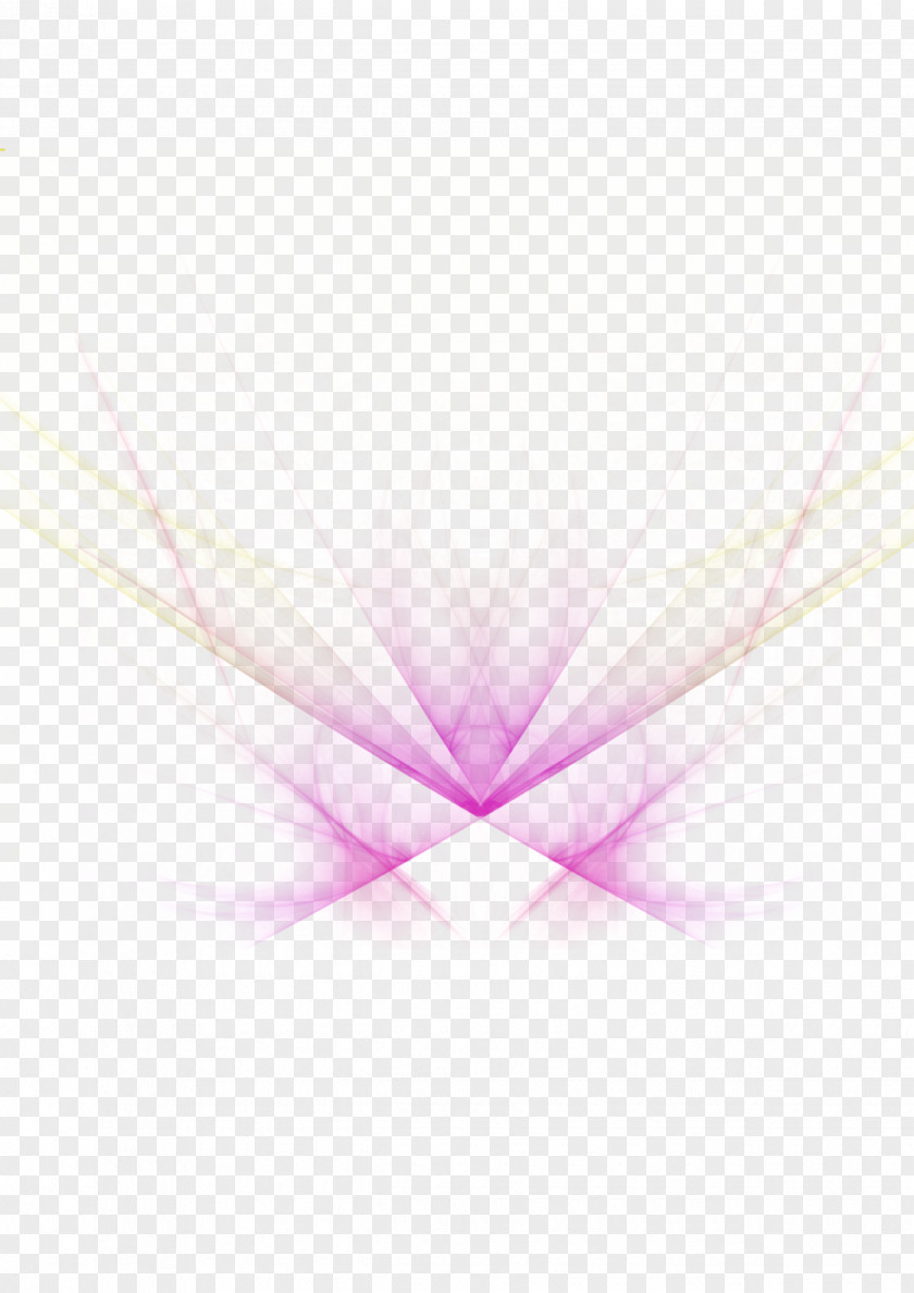 Purple Fresh Light Effect Elements Close-up Leaf Computer Wallpaper PNG
