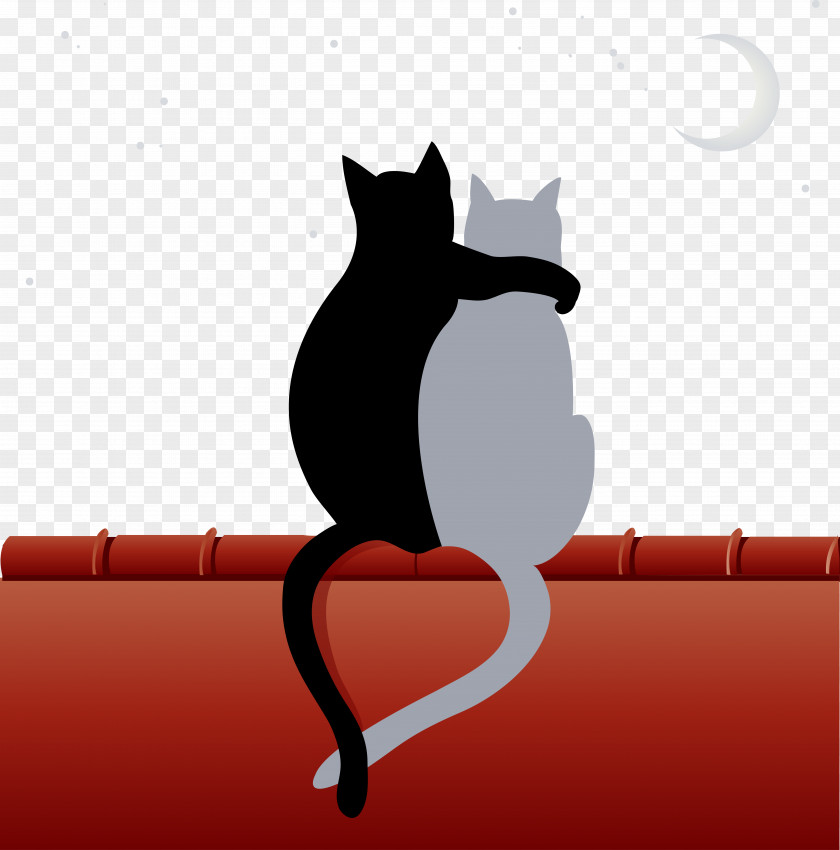 Vector Cat Kitten Illustration PNG