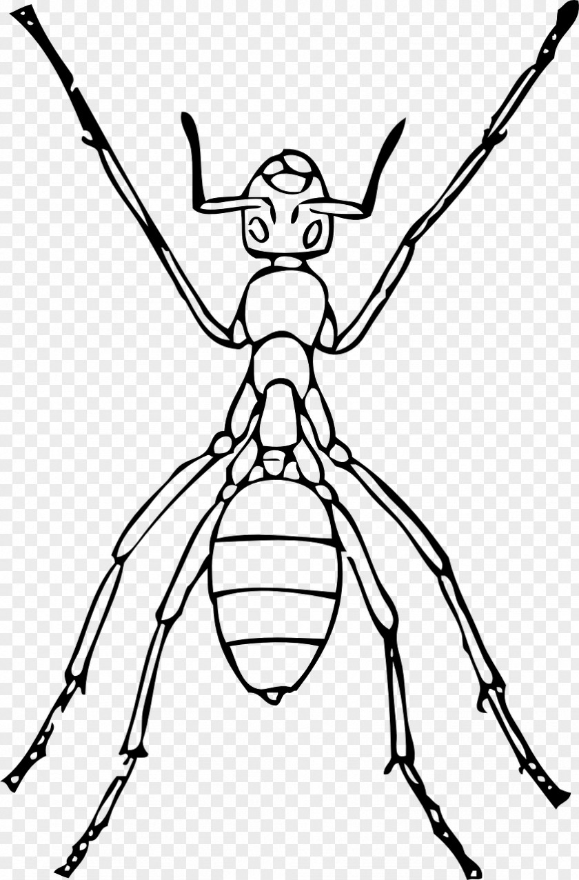 Dynamic Small Ant Ants Drawing Line Art Clip PNG