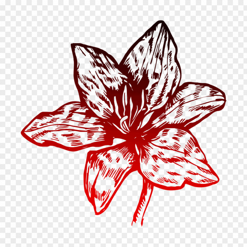 Premium T-Shirt Flower Lily PNG