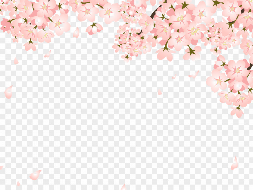 Pretty Peach Falling Cherry Blossom Copyright-free Illustration PNG
