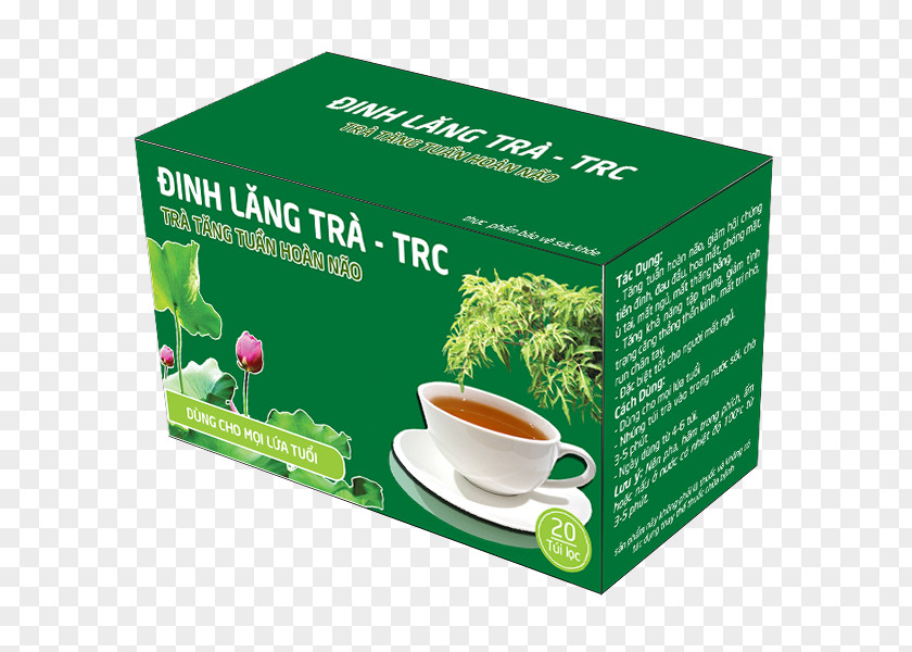 Tea Polyscias Fruticosa Herb Leaf Food PNG