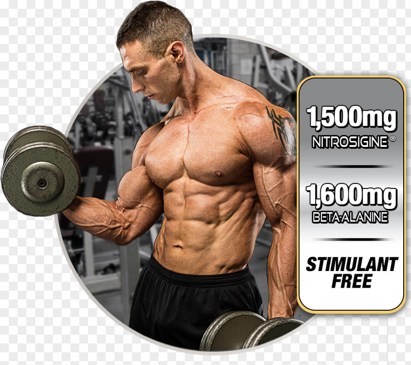Vein In Kind Dietary Supplement MuscleTech Bodybuilding Nitric Oxide Anabolic Steroid PNG