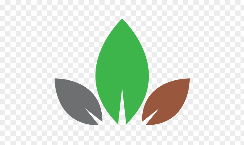 Alan Silverwood Limited Browne Landscaping Since 1978 Leaf Ornamental Plant Garden PNG