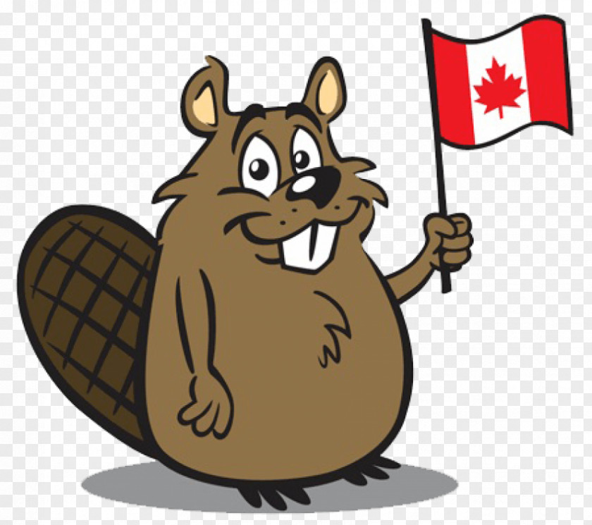 Canada Eurasian Beaver Royalty-free Cartoon PNG