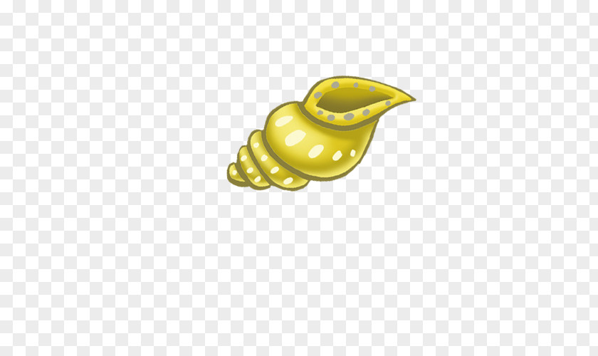 Conch Sea Snail Icon PNG