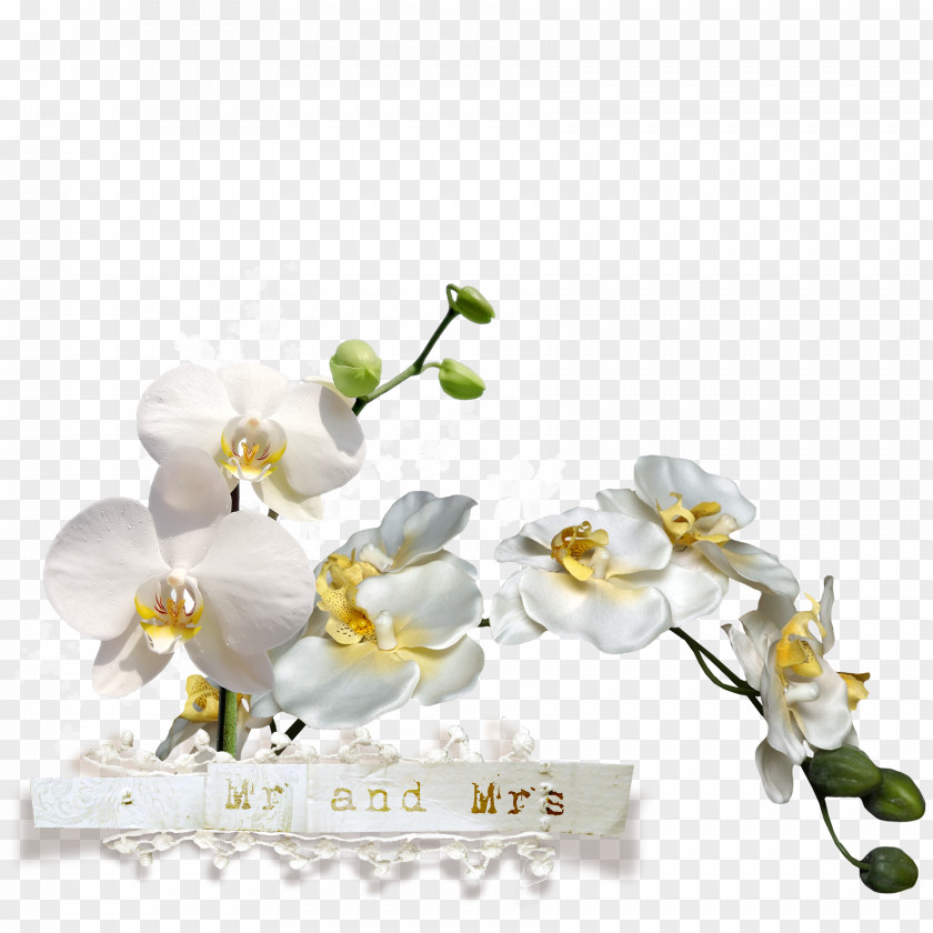 Creative Wedding Lace Flower Clip Art PNG