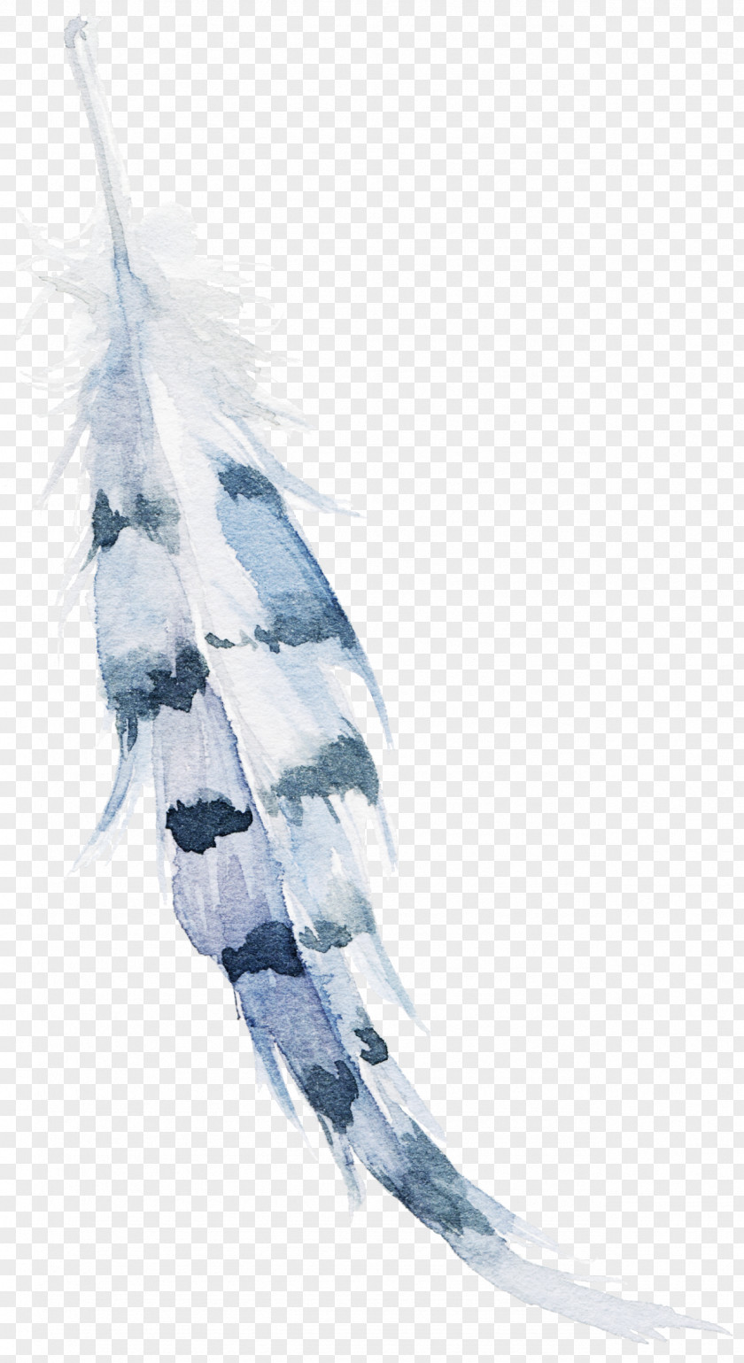 Feather Dreamcatcher PNG