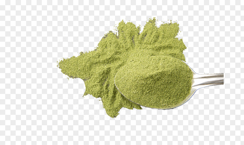 Green Tea Powder Matcha Latte Uji PNG