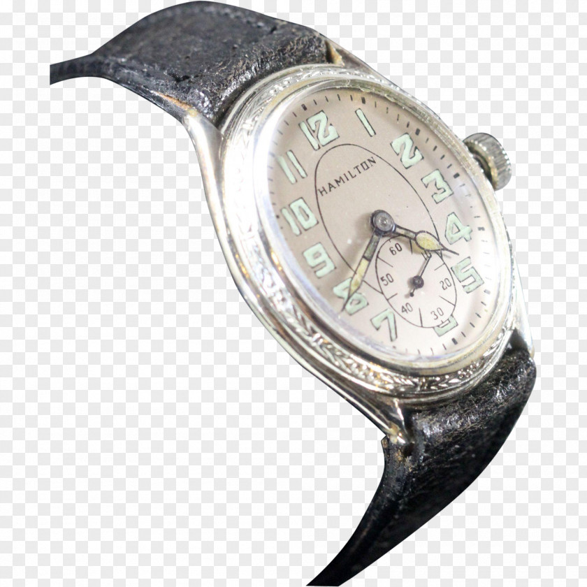 Watch Hamilton Company Gold-filled Jewelry Swatch PNG
