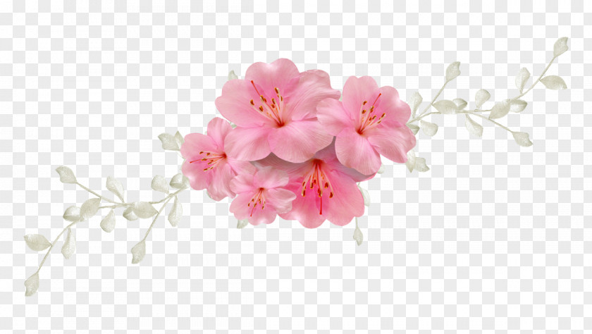 Flower Clip Art Image Desktop Wallpaper PNG