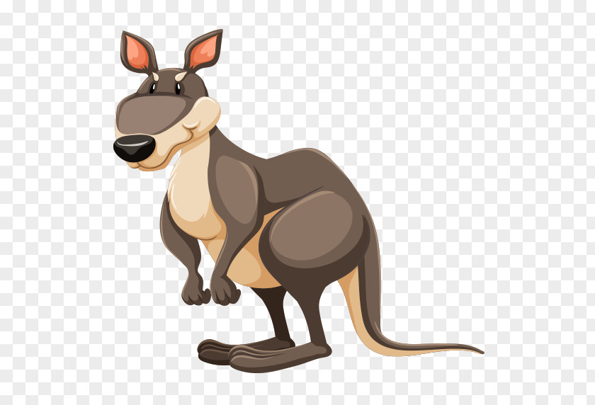 Kangaroo The Red PNG