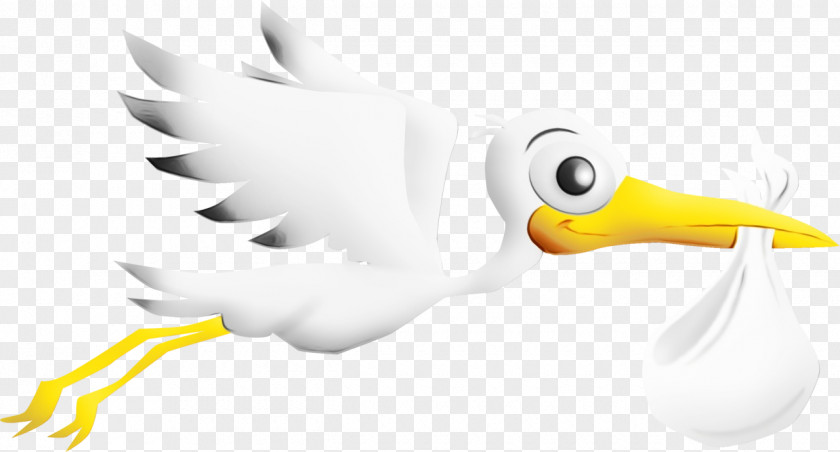 Wing Cartoon Duck PNG