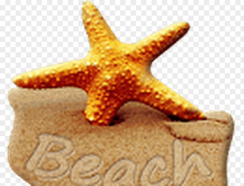 Beach IPhone 4S 5 6 X Desktop Wallpaper PNG