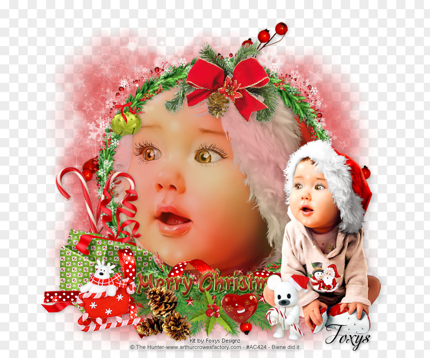 Design Christmas Ornament Infant Petal Floral PNG