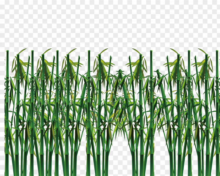 Green Bamboo Raster Graphics PNG