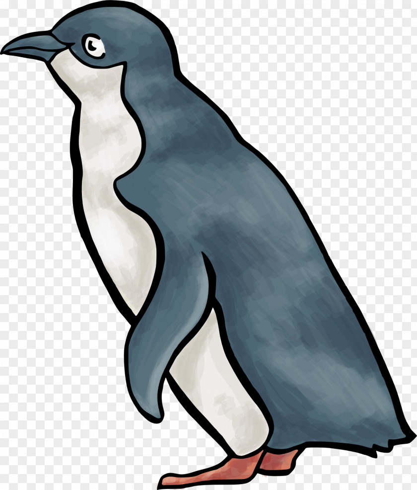 Penguin Drawing Clip Art PNG