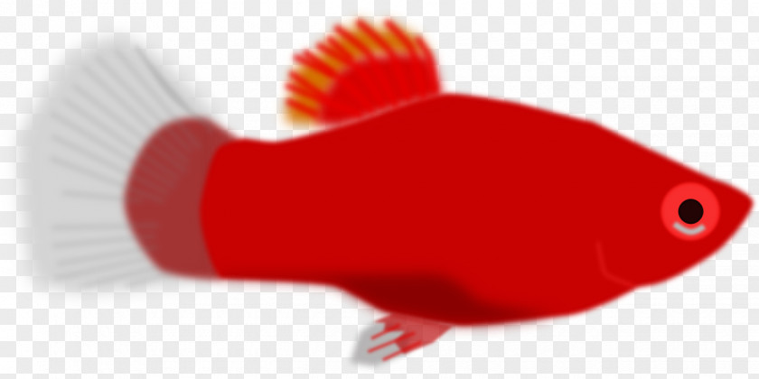 Red Fish Clip Art PNG