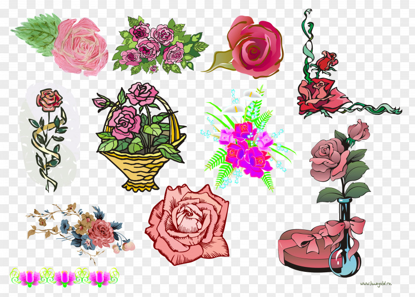 Rose Garden Roses Floral Design Cut Flowers Clip Art PNG