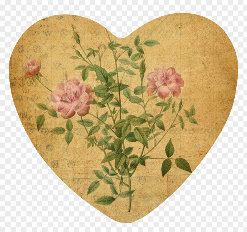 Vintage Card Paper Painter Rose Art Image Painting PNG